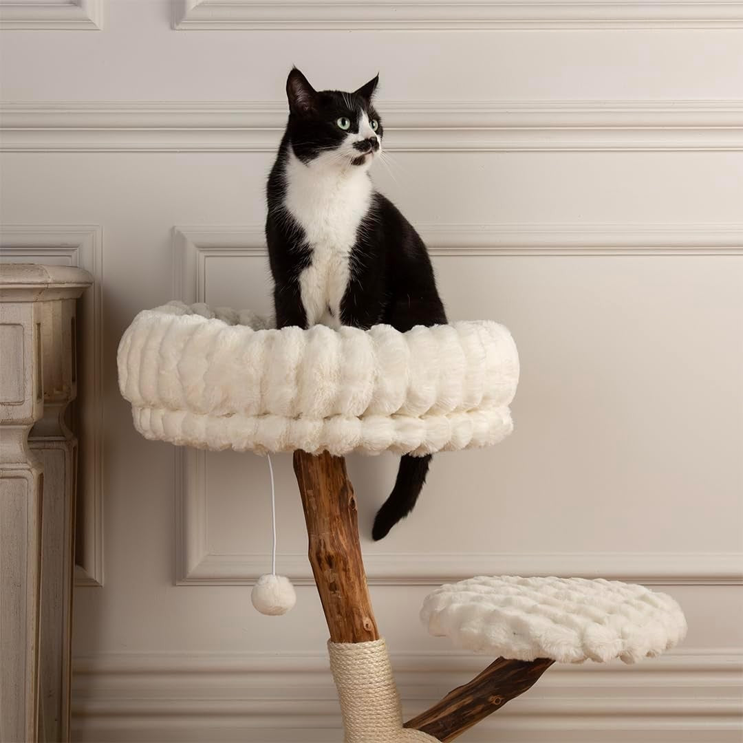 Luxury Cat Scratching Tree with Plush Perch Natural Wood Indoor Climbing Tower