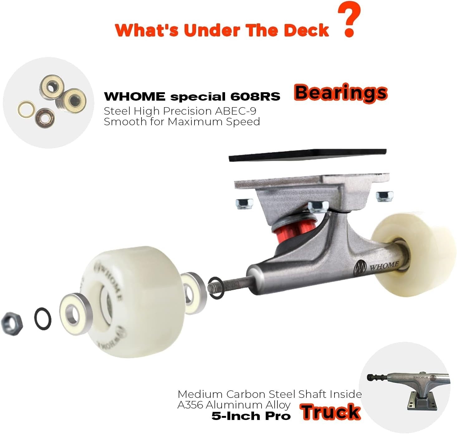 Complete Skateboard 31"x8" CHESS Maple Deck with ABEC-9 Bearings