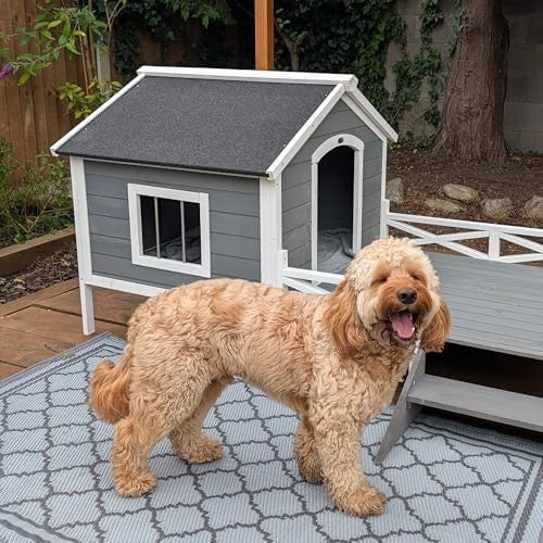 Outdoor Wooden Dog House with Porch, Ladder & Window, Weatherproof Shelter