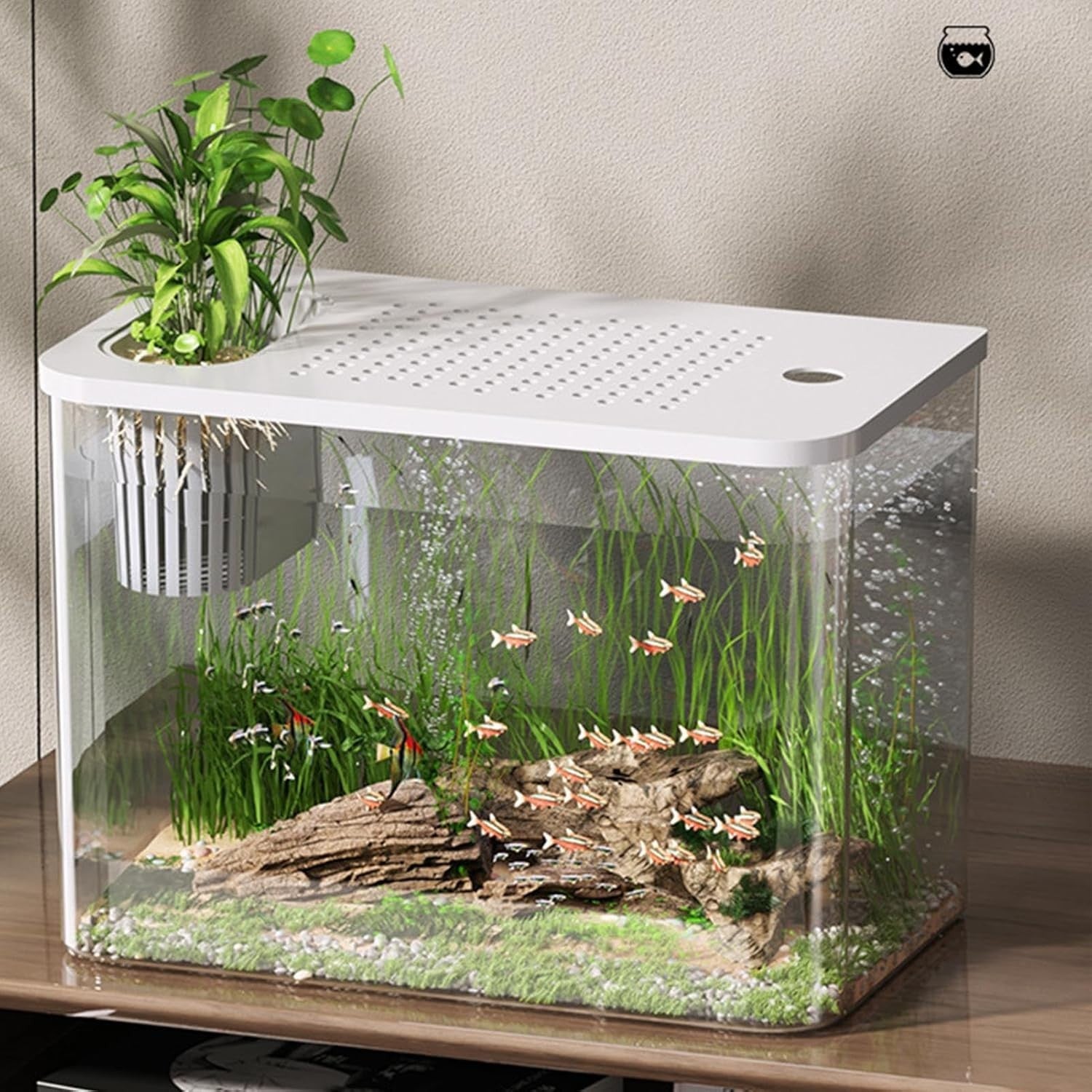 Small Fish Bowl Turtle Aquarium Habitat Compact Desktop Reptile Tank