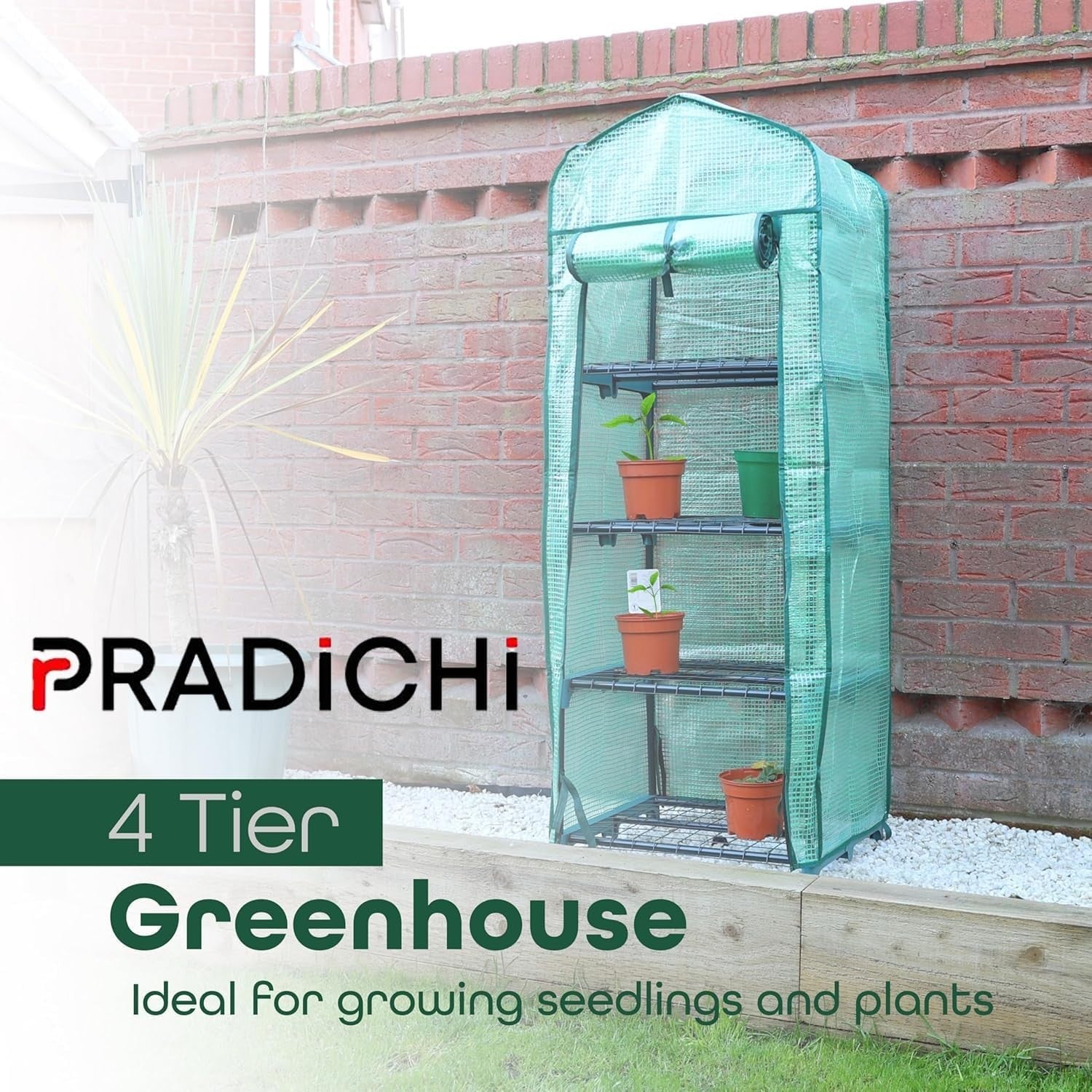 4 Tier Mini Greenhouse PE Cover | Heavy Duty Metal Frame | Outdoor Growhouse