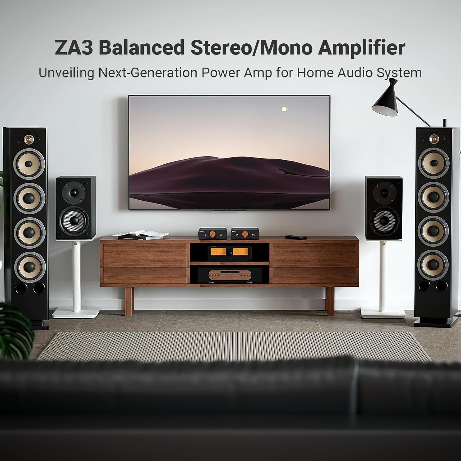 Mini HiFi Stereo Mono Amplifier 235W TPA3255 XLR RCA 48V