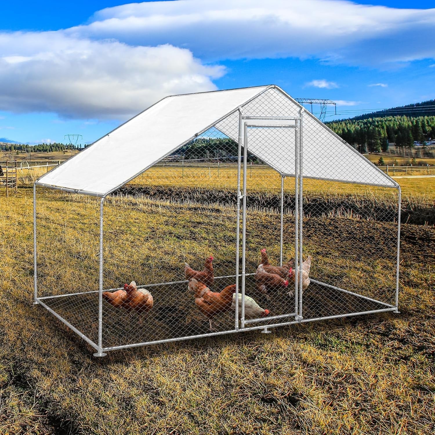 Walk In Chicken Run 4x2x2m Galvanised Steel Coop Pen