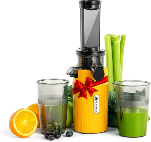 Compact Cold Press Juicer Slow Masticating 60RPM High Nutrient Yield