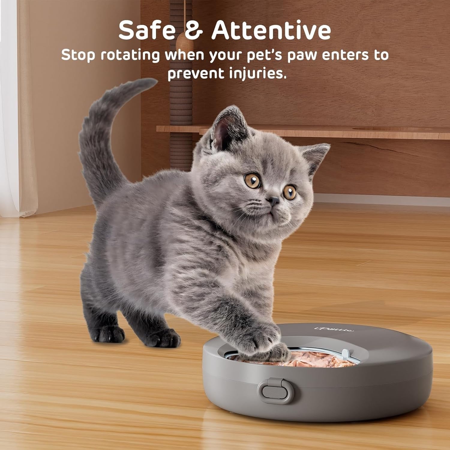 Automatic Wet Cat Feeder 4 Meal Timer Ice Packs Whisker Friendly Tray