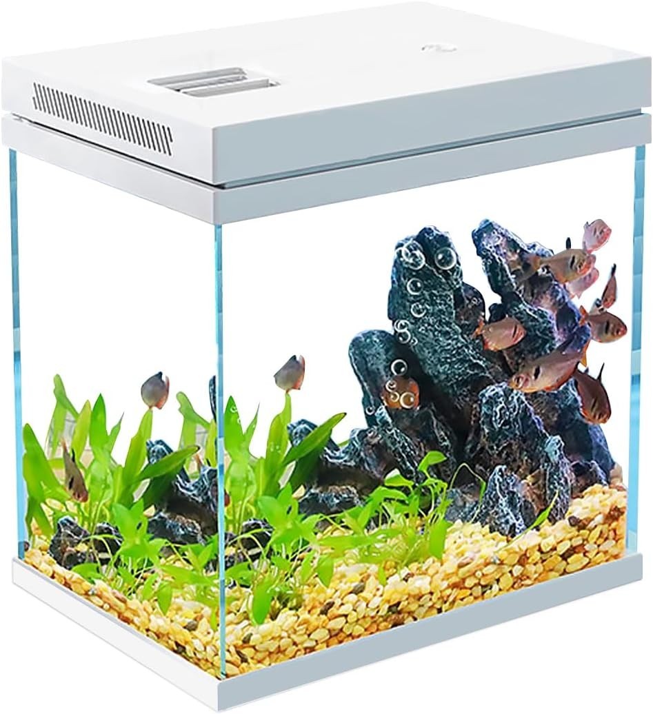 9L Nano Glass Fish Tank With LED Light Filter Rimless Aquarium