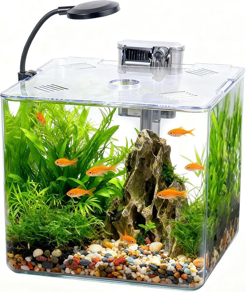 13L Mini Fish Tank Starter Kit with LED Light & USB Filter – Betta Aquarium