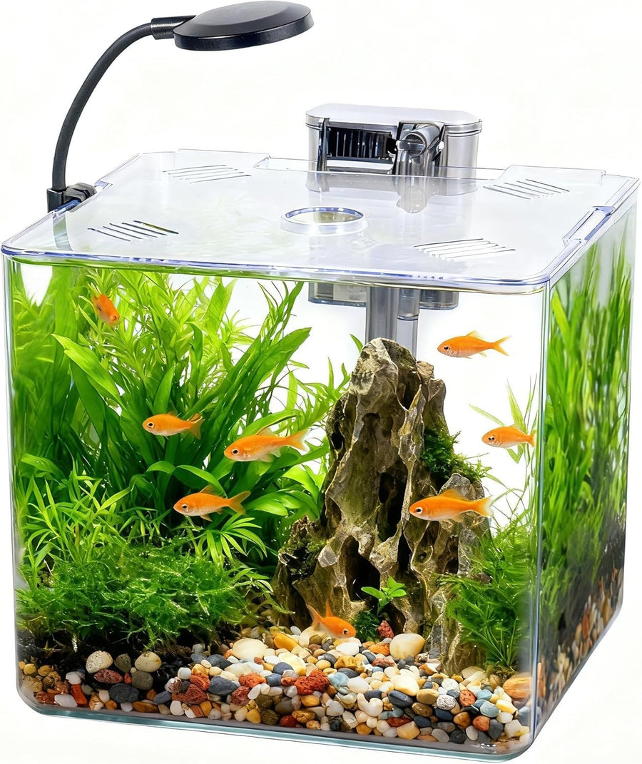13L Mini Fish Tank Starter Kit with LED Light & USB Filter – Betta Aquarium