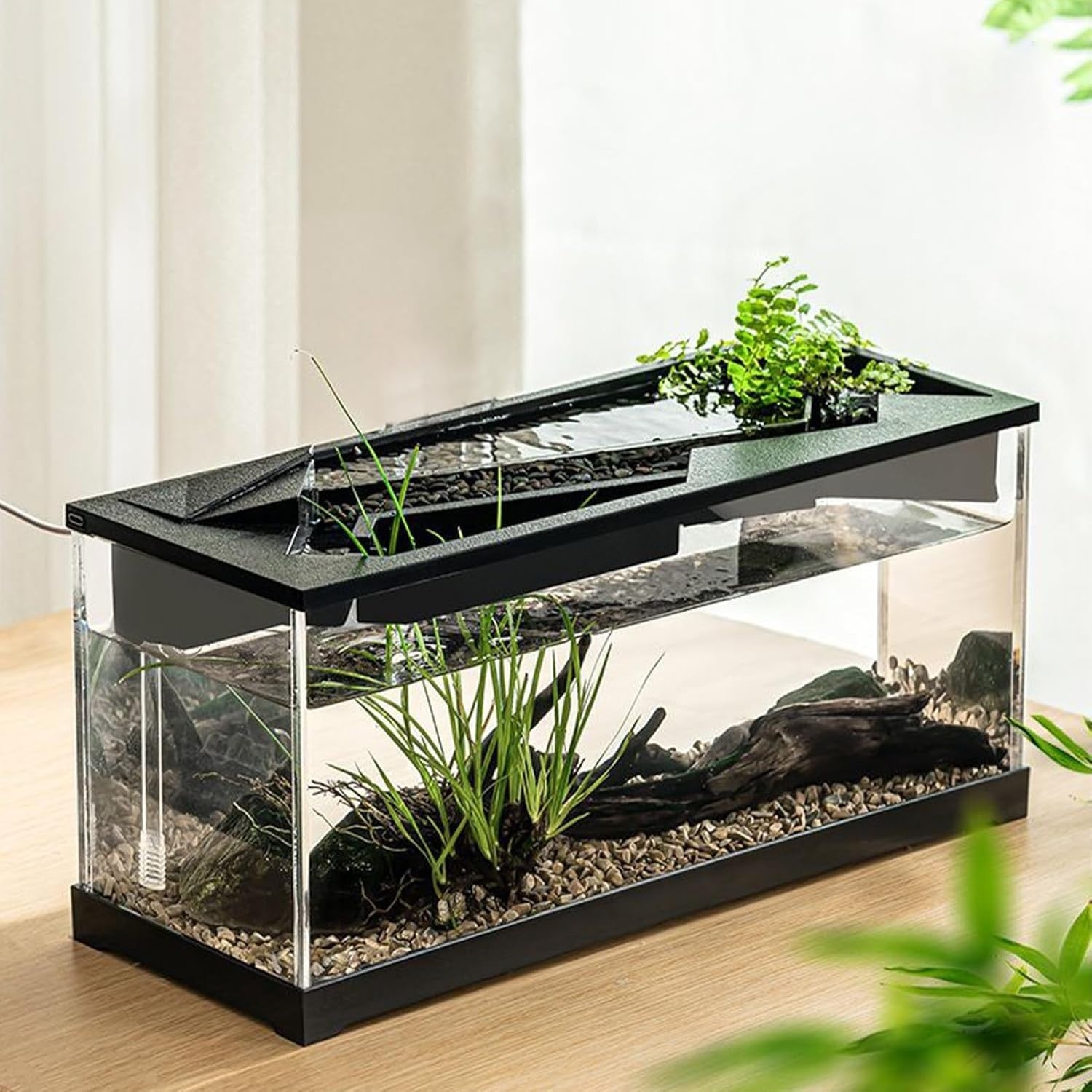 Acrylic Desktop Fish Tank with Filter & LED Light – Small Tabletop Aquarium