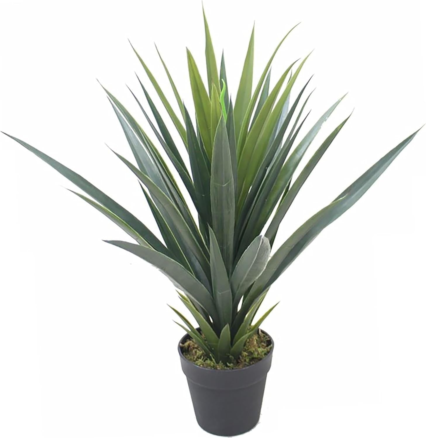 60cm Artificial Agave Succulent Yucca Style Plant in Pot Indoor Green Decoration