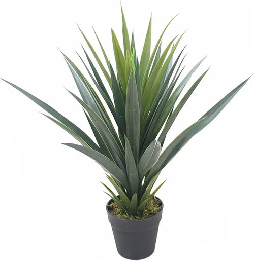 60cm Artificial Agave Succulent Yucca Style Plant in Pot Indoor Green Decoration
