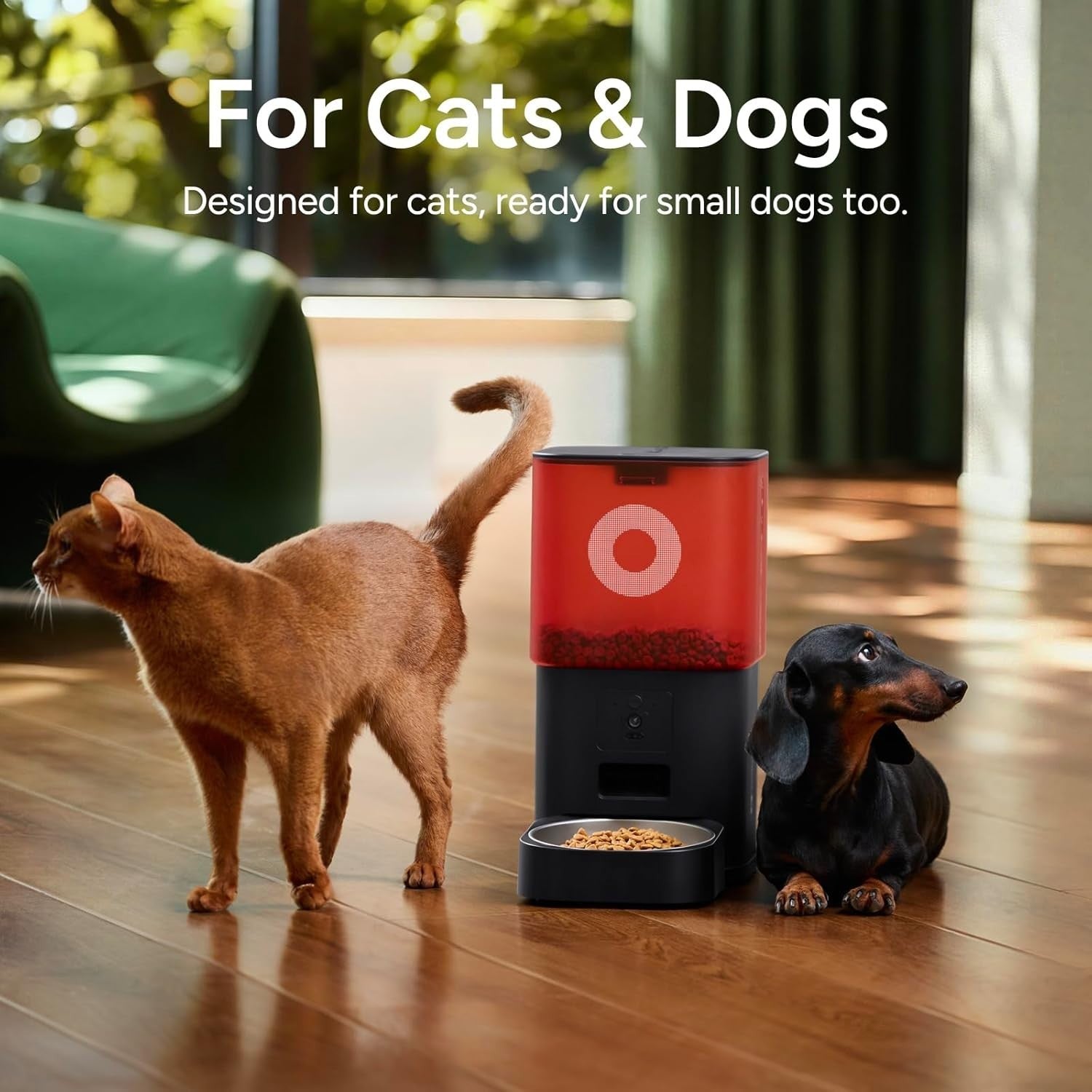 Automatic Pet Feeder WiFi Camera 6L Food Dispenser 2-Way Audio White