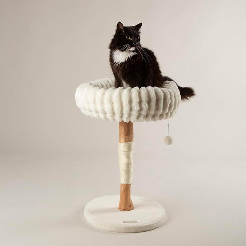 Luxury Cat Scratching Tree with Plush Bed Natural Wood Sisal Post Indoor