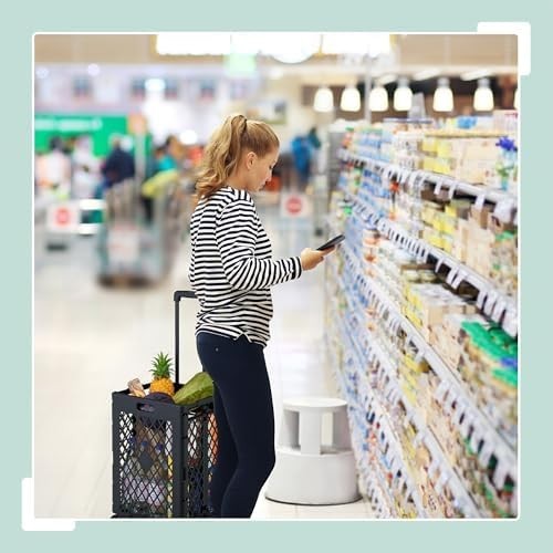 Foldable Shopping Trolley Cart on Wheels 25kg Capacity Telescopic Handle