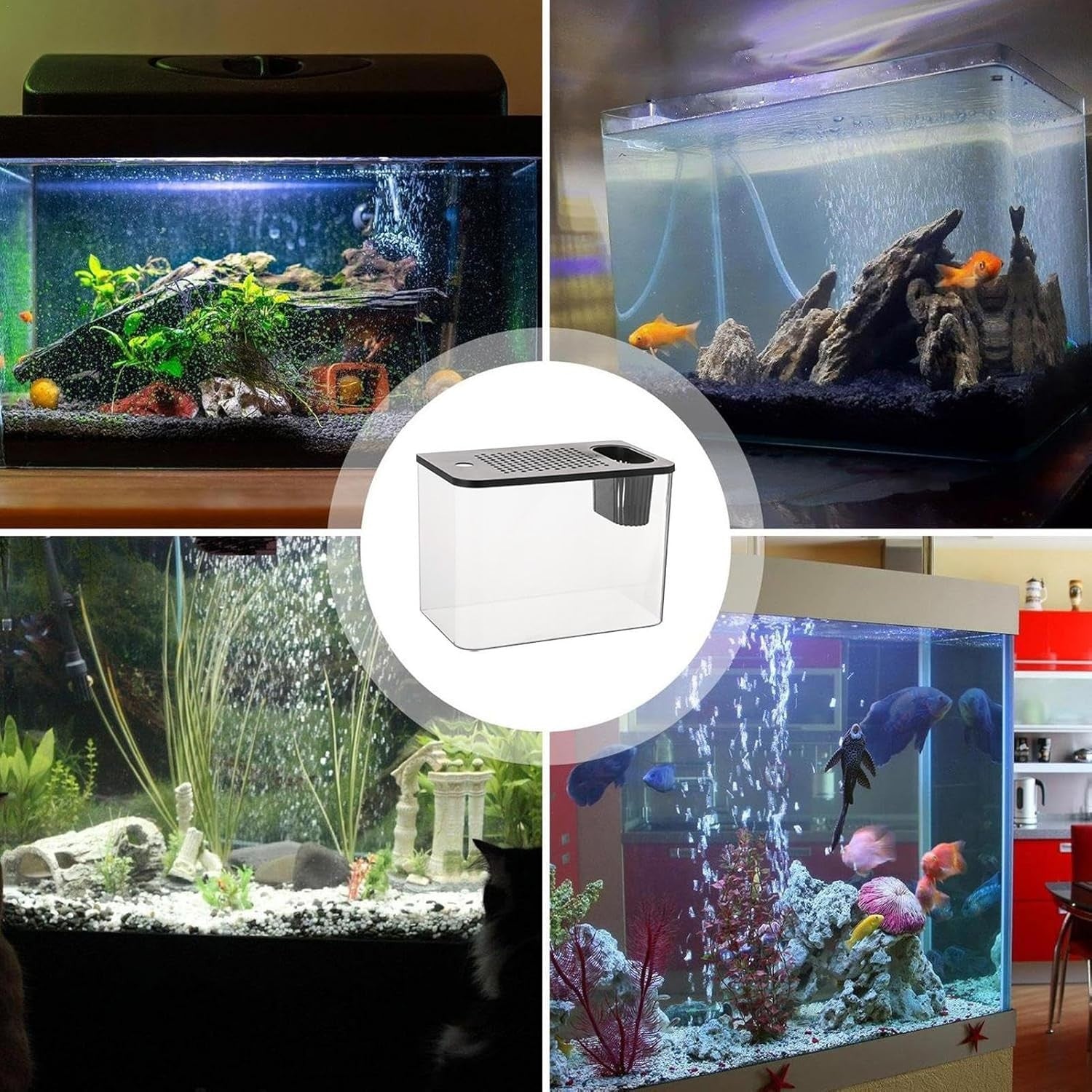 Desktop Betta Aquarium Tank | Small Turtle Fish Tank Kit for Home Office