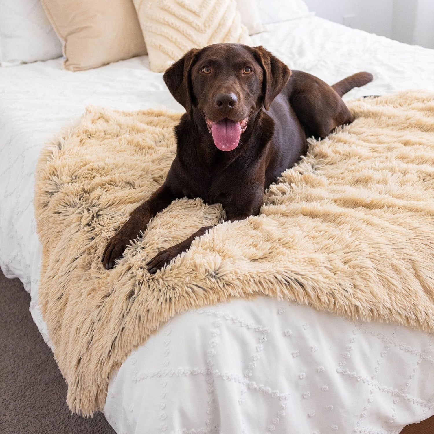 Calming Shag Dog Blanket 40x50 Taupe Reversible Washable