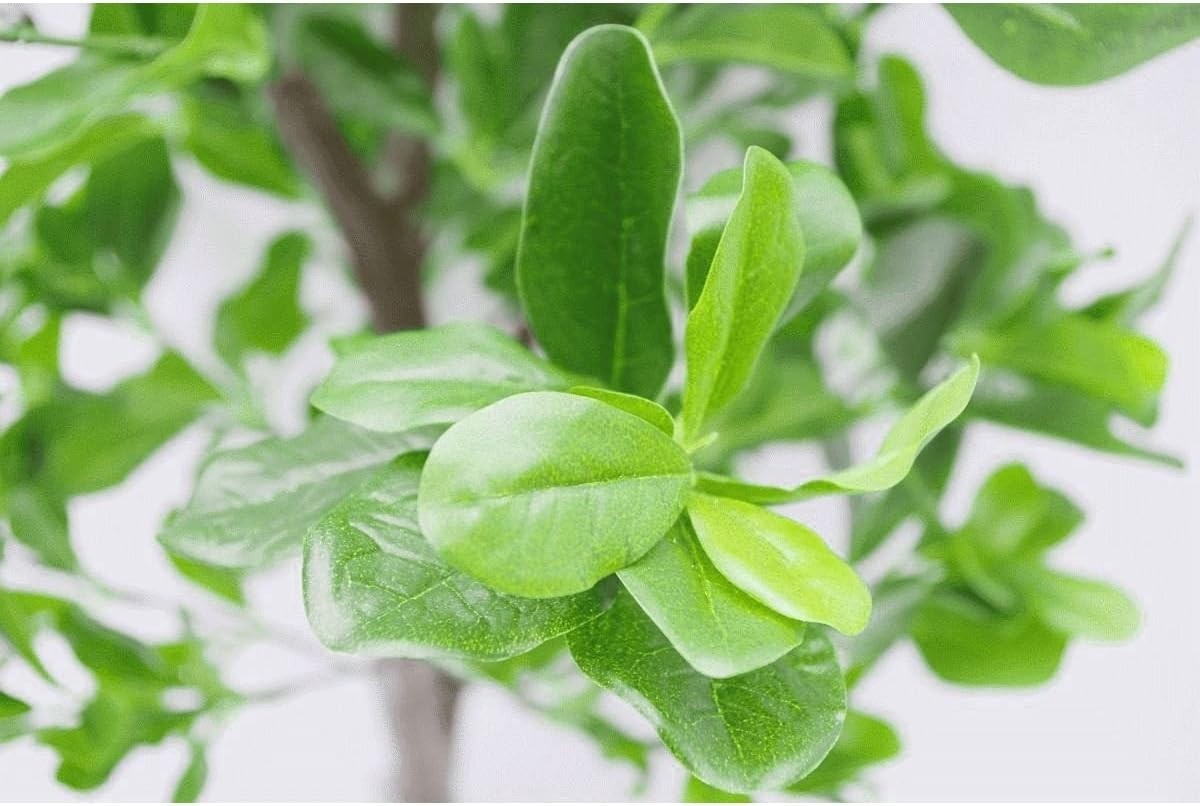 102cm Artificial Ficus Aralia Tree Realistic Green Indoor Decorative Plant Home