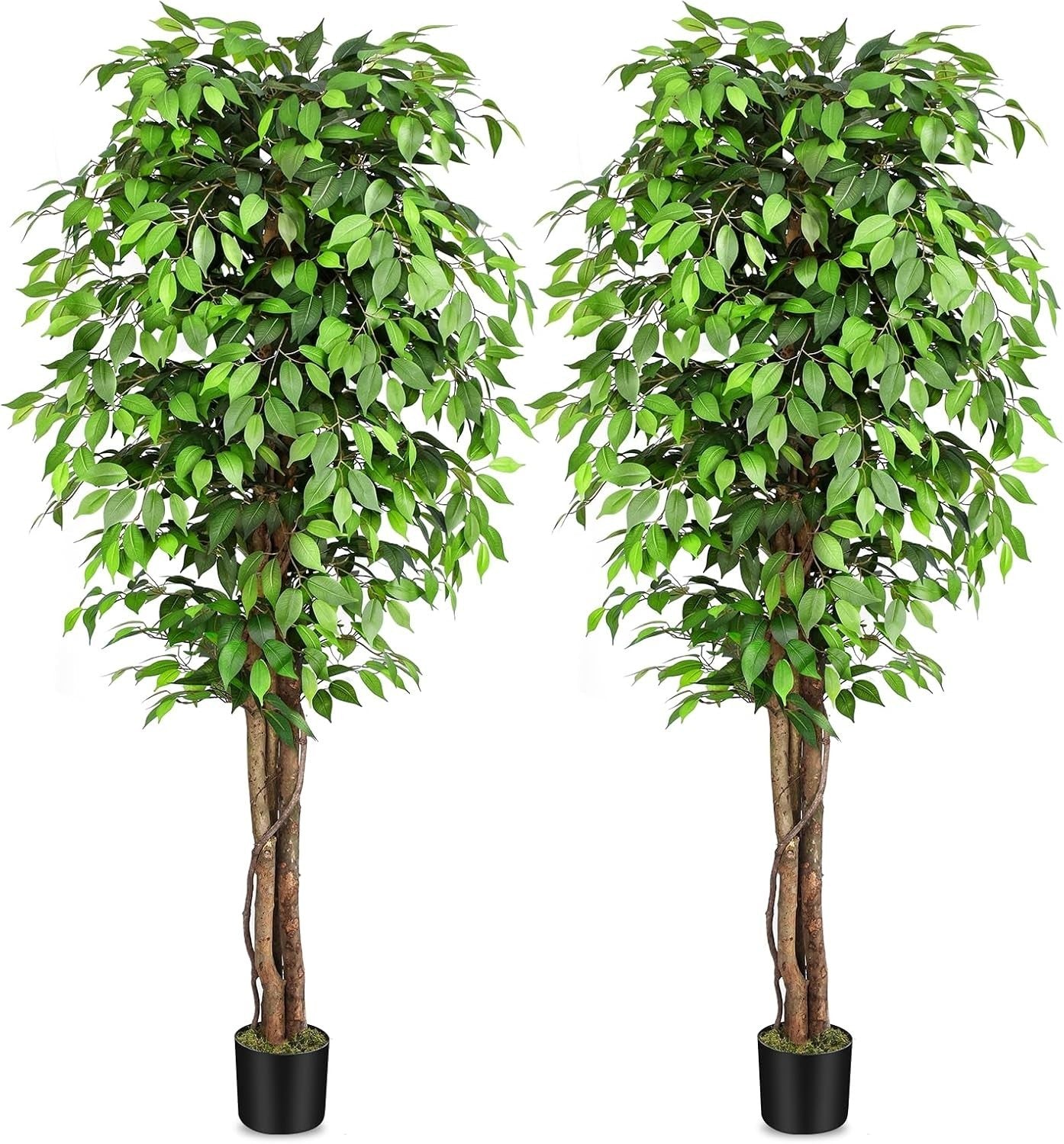 7ft Large Fake Ficus Trees Set of 2, Curved Real Wood Trunks, Indoor Decor 210cm