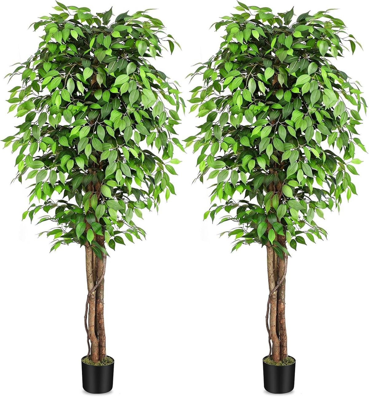 7ft Large Fake Ficus Trees Set of 2, Curved Real Wood Trunks, Indoor Decor 210cm