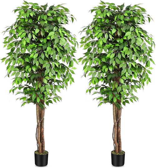 7ft Large Fake Ficus Trees Set of 2, Curved Real Wood Trunks, Indoor Decor 210cm