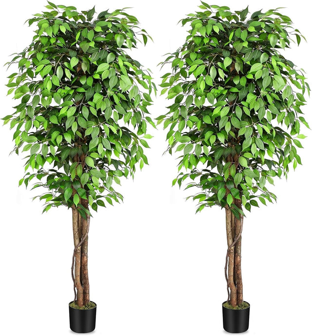 7ft Large Fake Ficus Trees Set of 2, Curved Real Wood Trunks, Indoor Decor 210cm