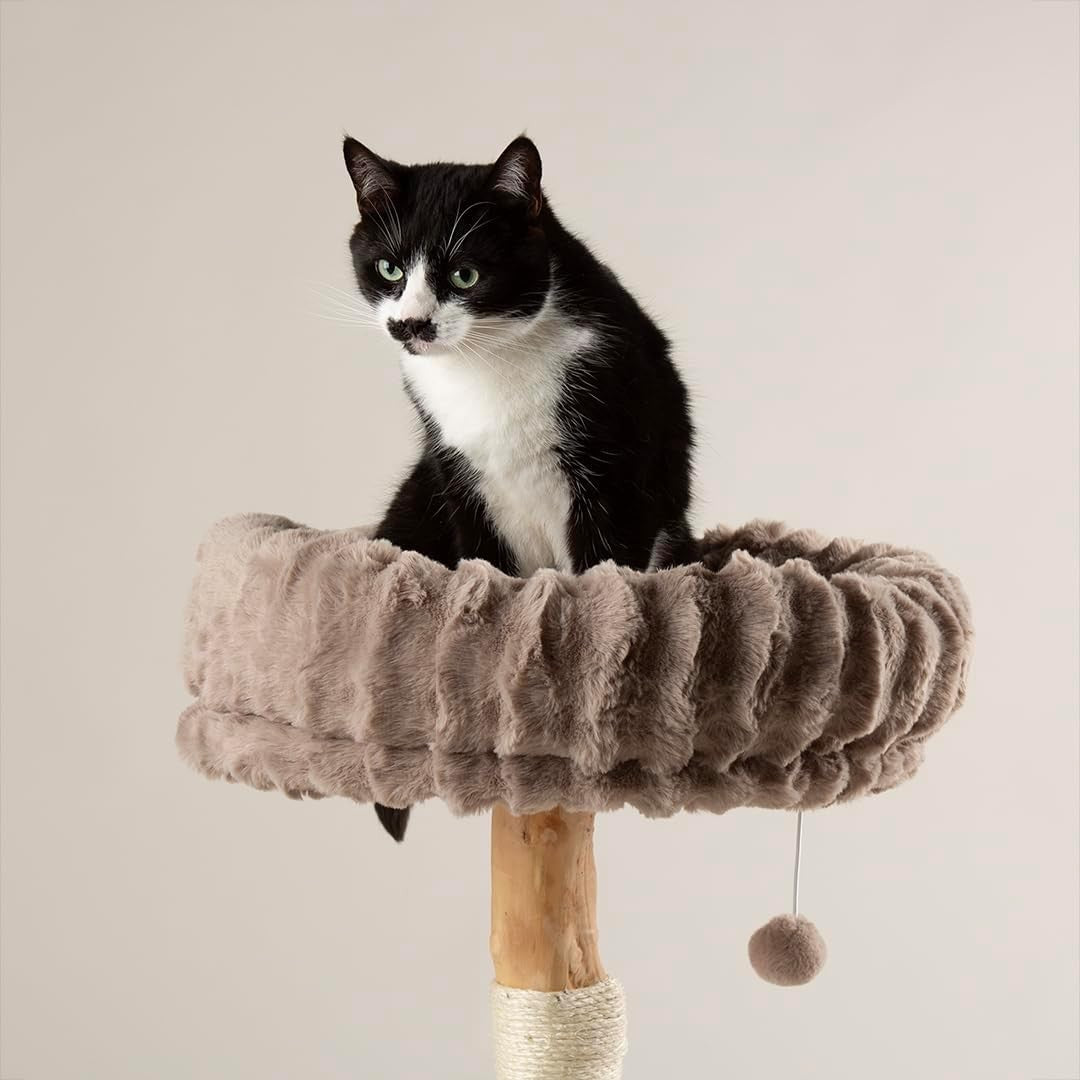 Luxury Cat Scratching Plush Bed Natural Wood Sisal Post Indoor