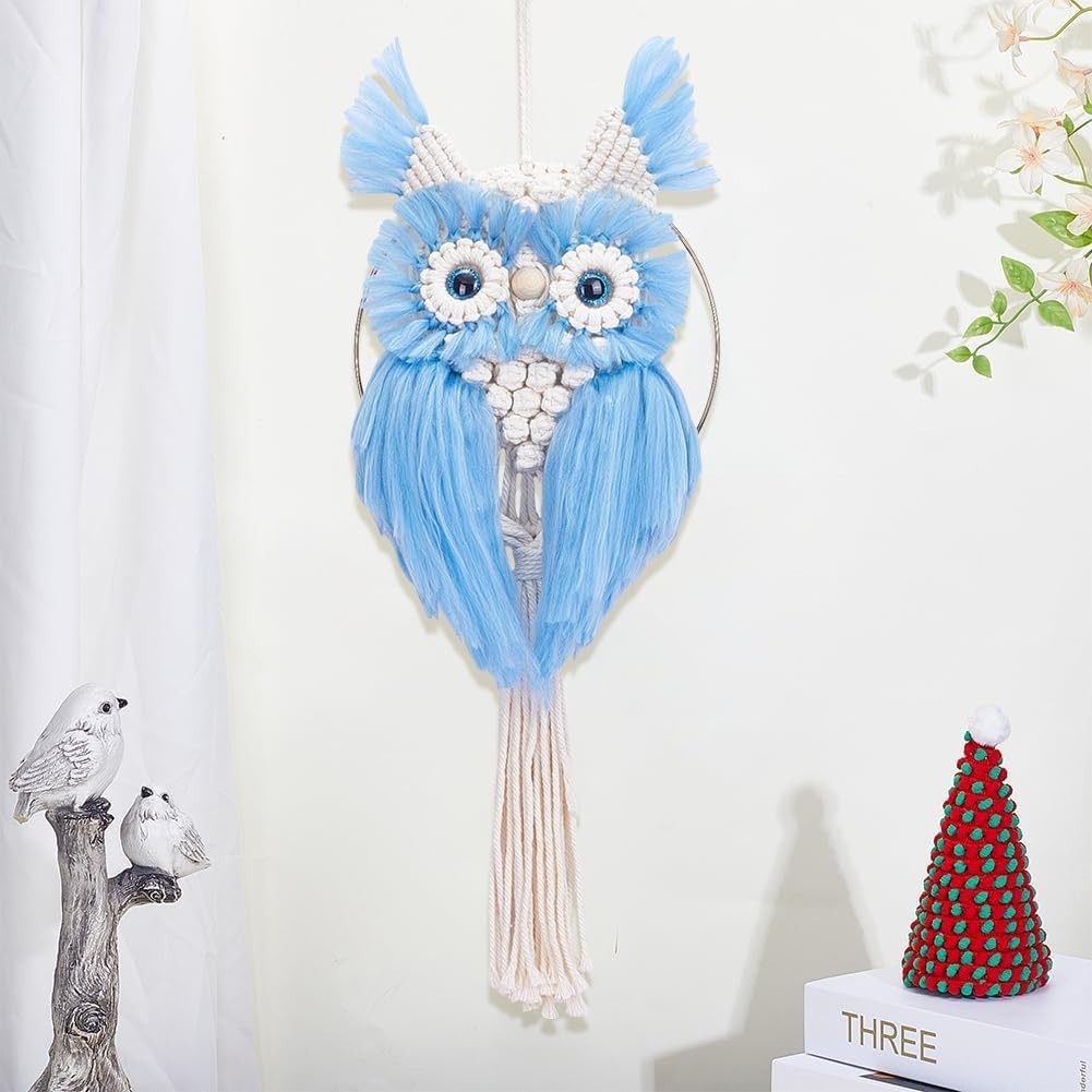 DIY Macrame Owl Wall Hanging Kit with Felting Wool Boho Decor