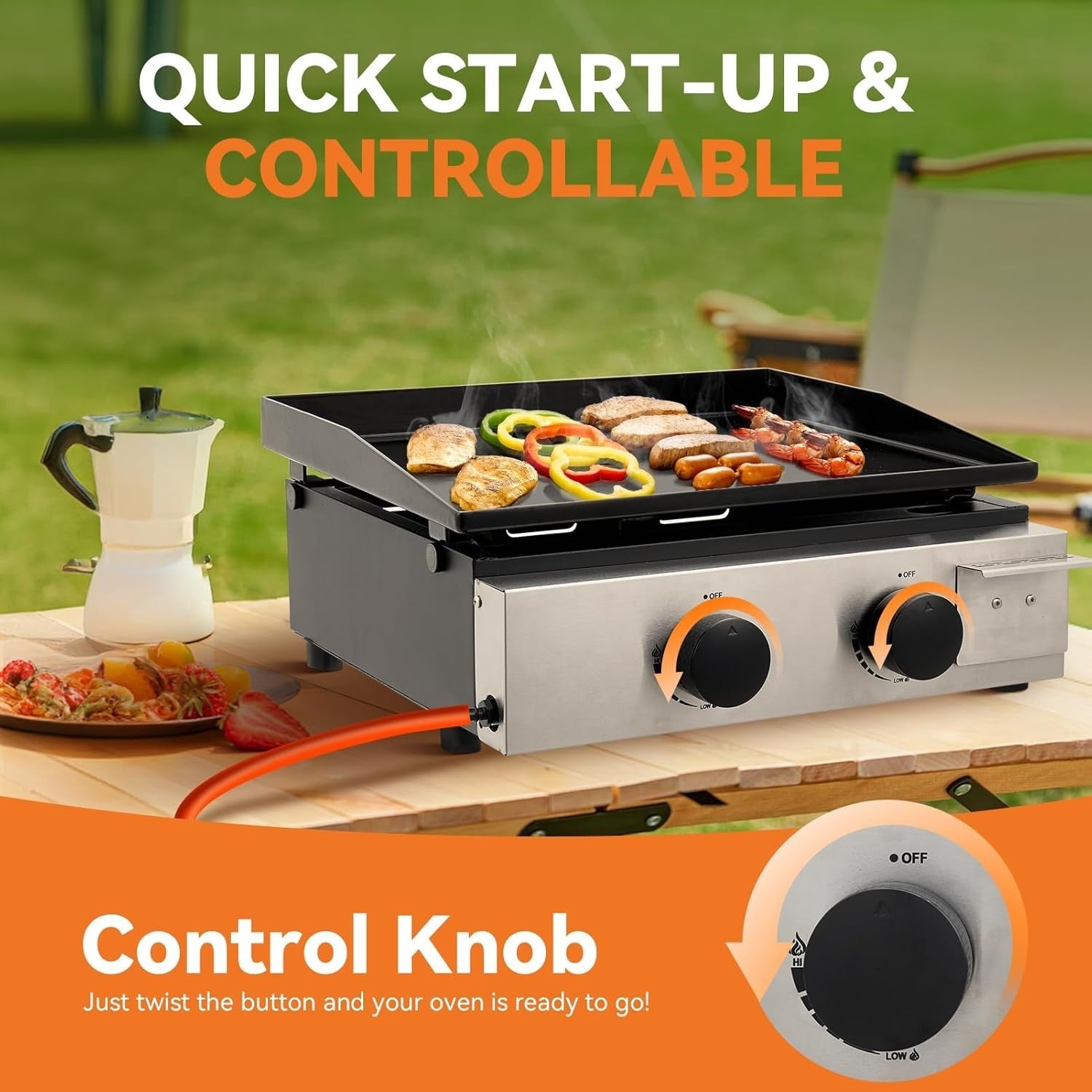 Portable 2 Burner Gas BBQ Grill Ceramic Cast Iron Plate Outdoor Camping Cooking