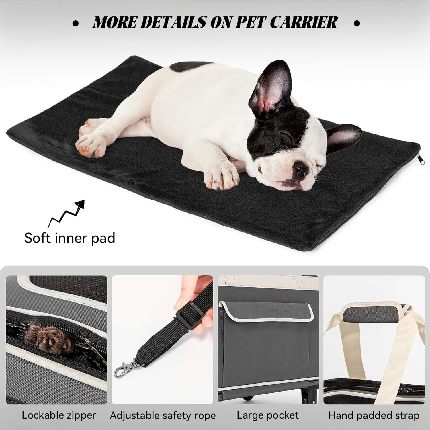 Rolling Pet Carrier with Wheels for Small Dogs & Cats, Portable Travel