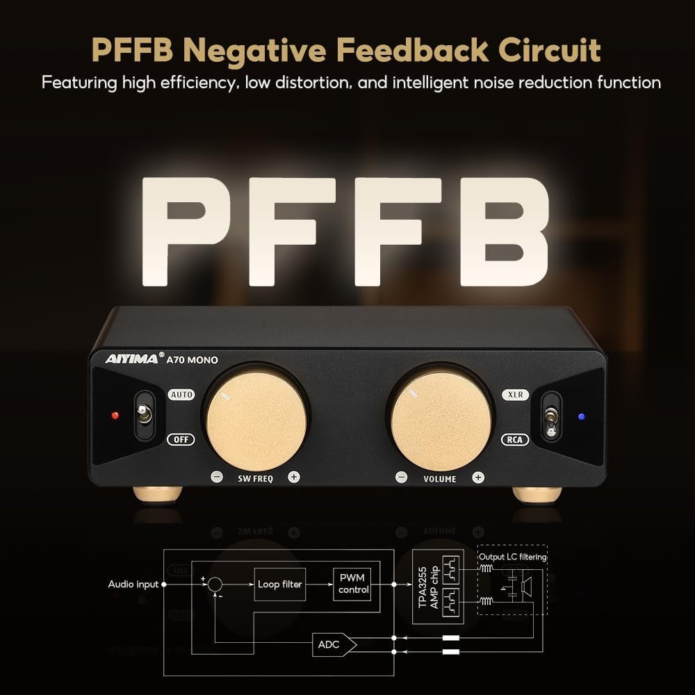 600W Mono Class D Power Amplifier TPA3255 PFFB RCA XLR Subwoofer Input