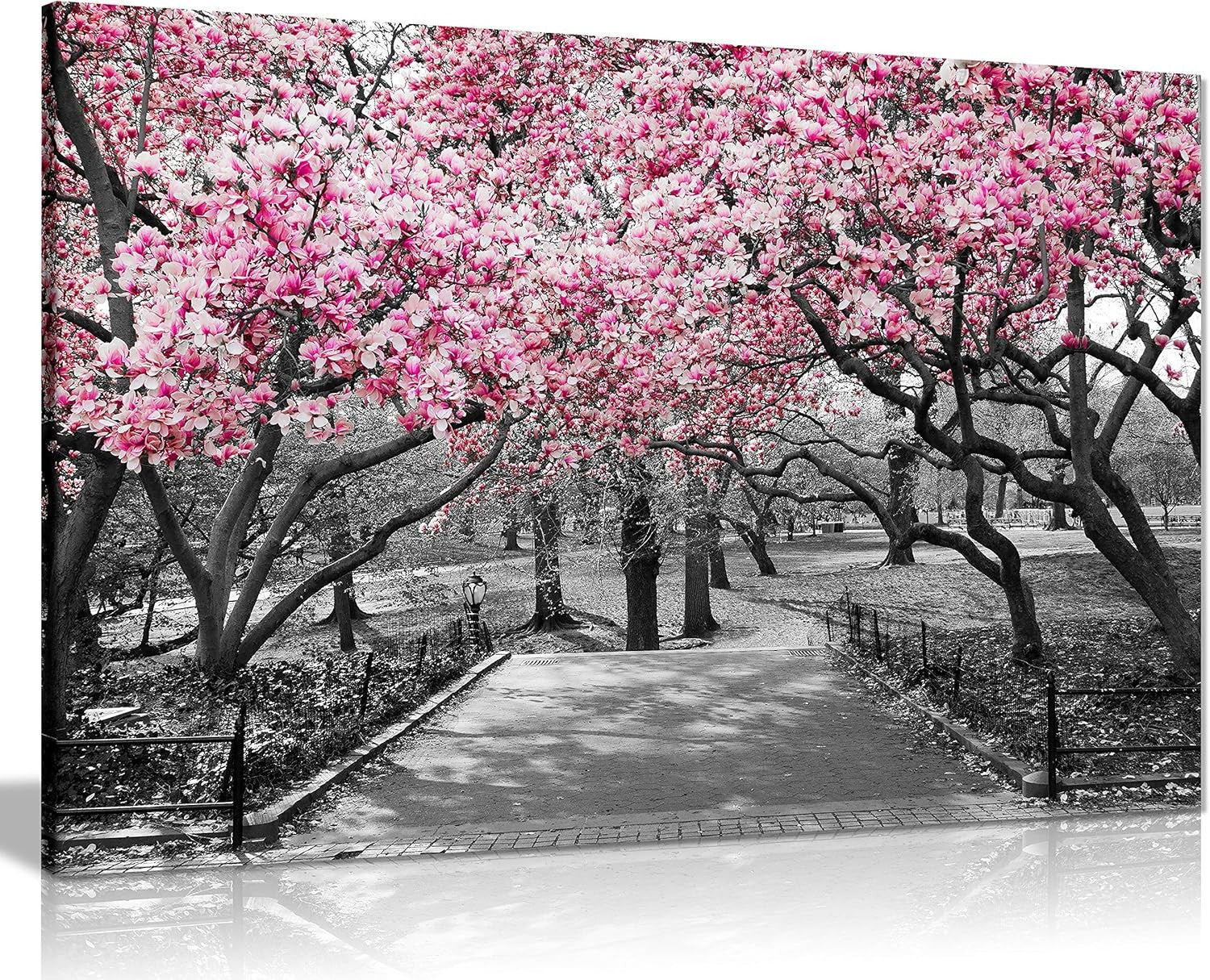Black White Pink Blossom Canvas Wall Art Large Framed Print Modern Home Decor