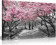 Black White Pink Blossom Canvas Wall Art Large Framed Print Modern Home Decor