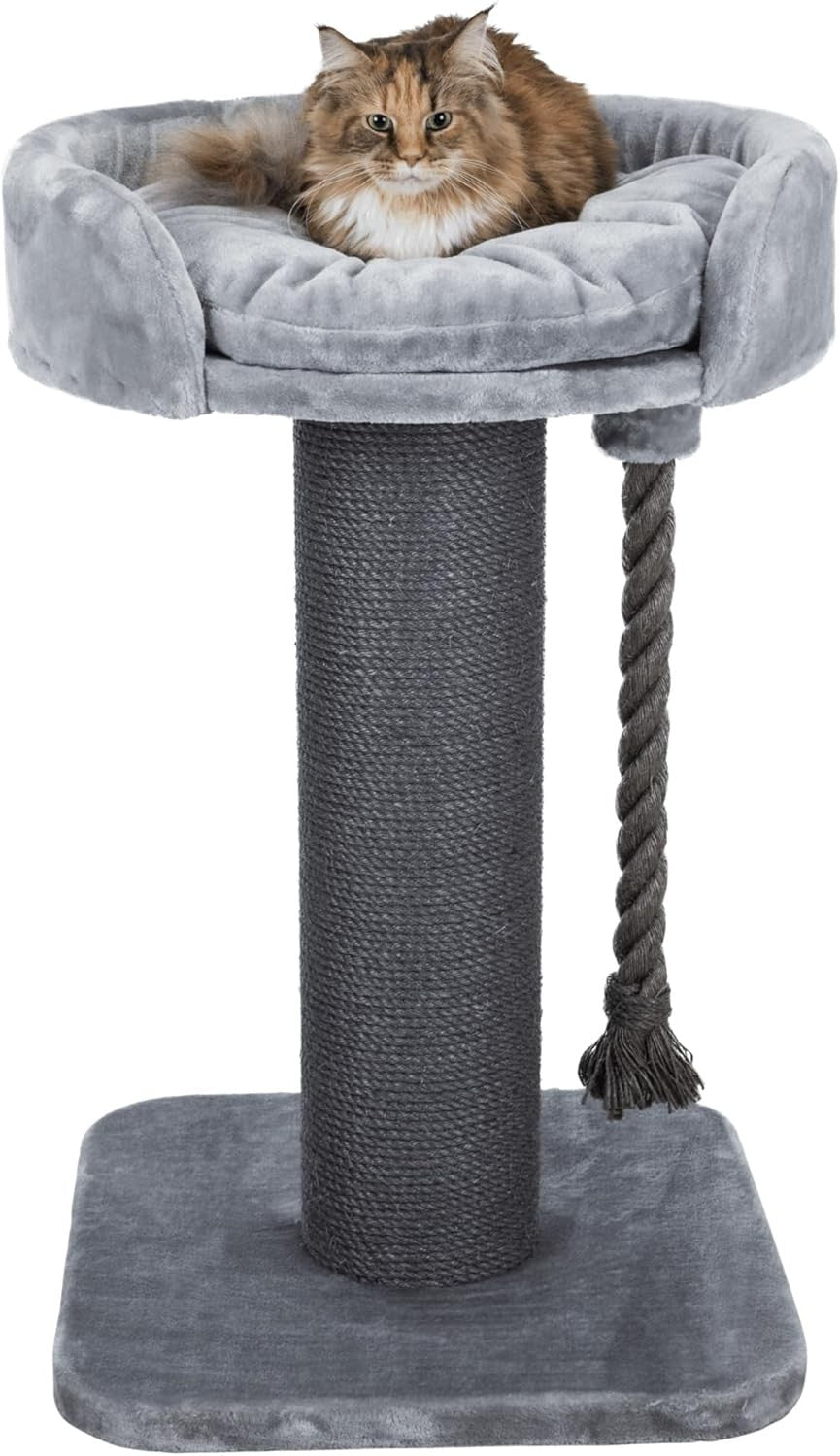 XXL Cat Scratching Post for Large Cats with Elevated Bed Heavy Duty Tower