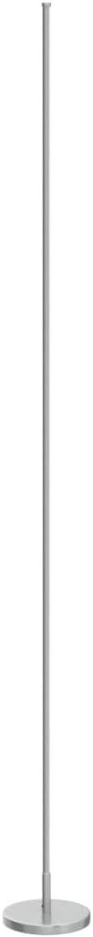 LED Corner Floor Lamp Dimmable Remote 2700–6500K Slim Modern Standing Light