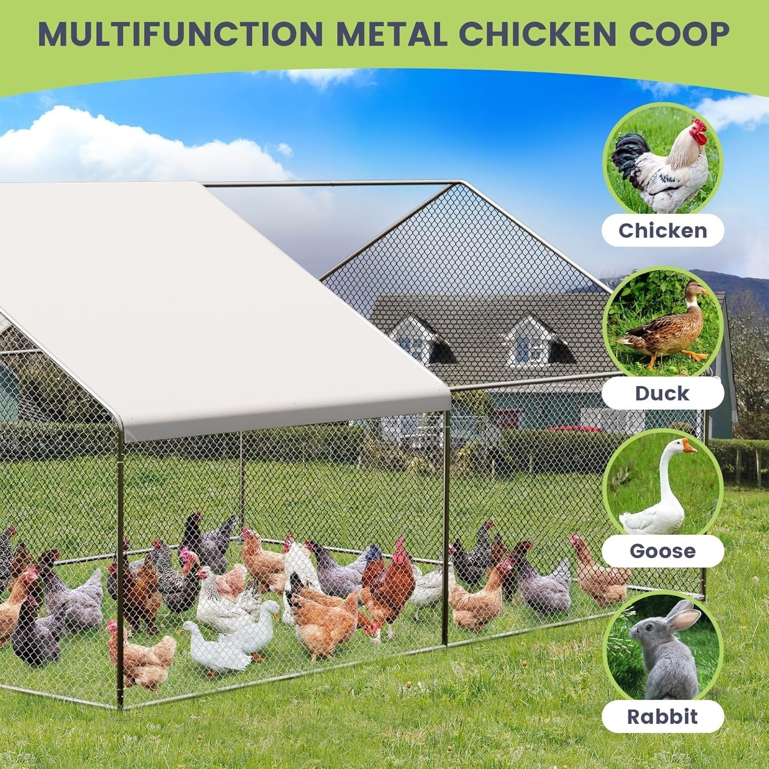 9.8x13.1FT Walk In Chicken Coop Metal Run w Cover