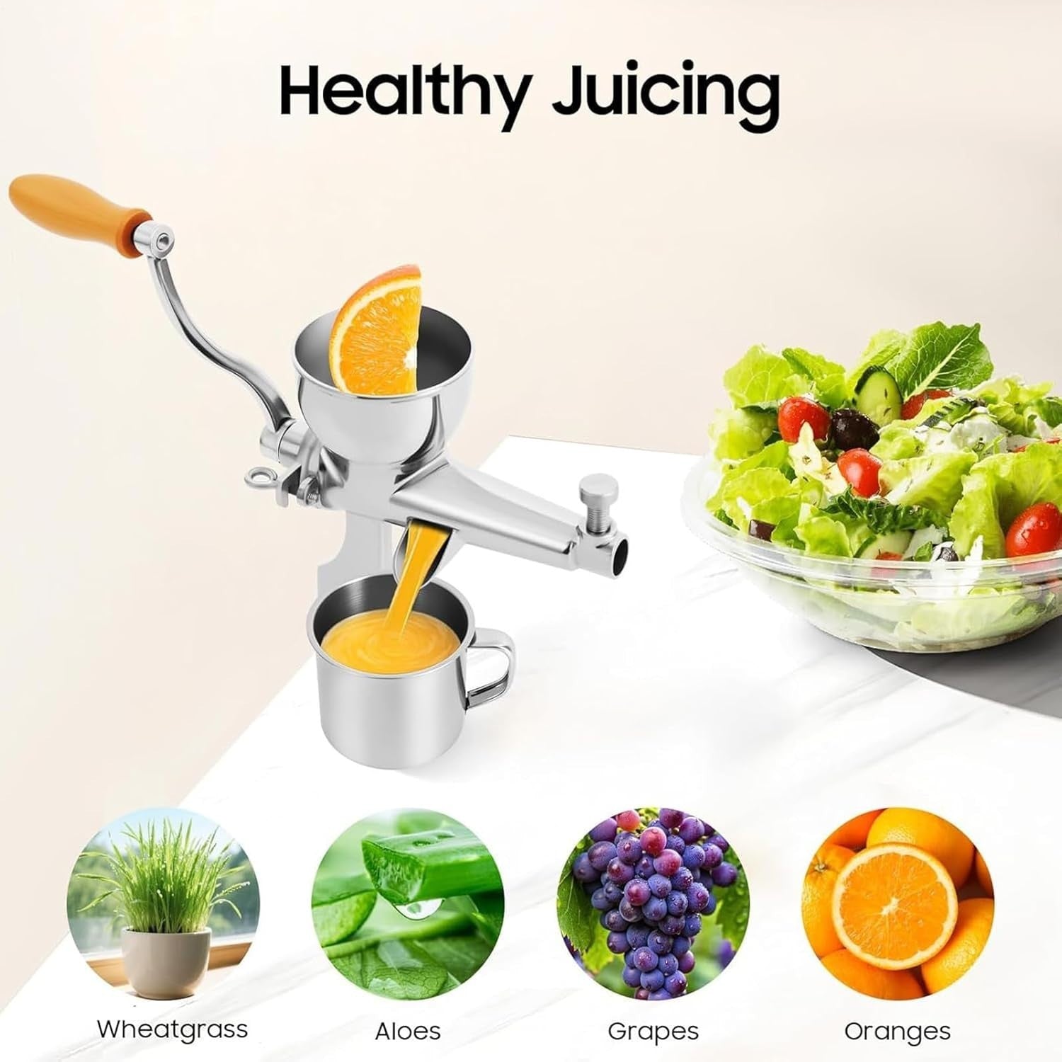 Manual Wheatgrass Juicer Stainless Steel Crank Leafy Greens Slow Press