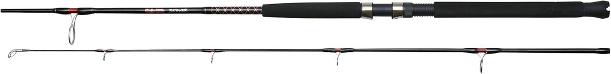 Ugly Stik Bigwater Fishing Rod – Boat & Freshwater Spinning Rod