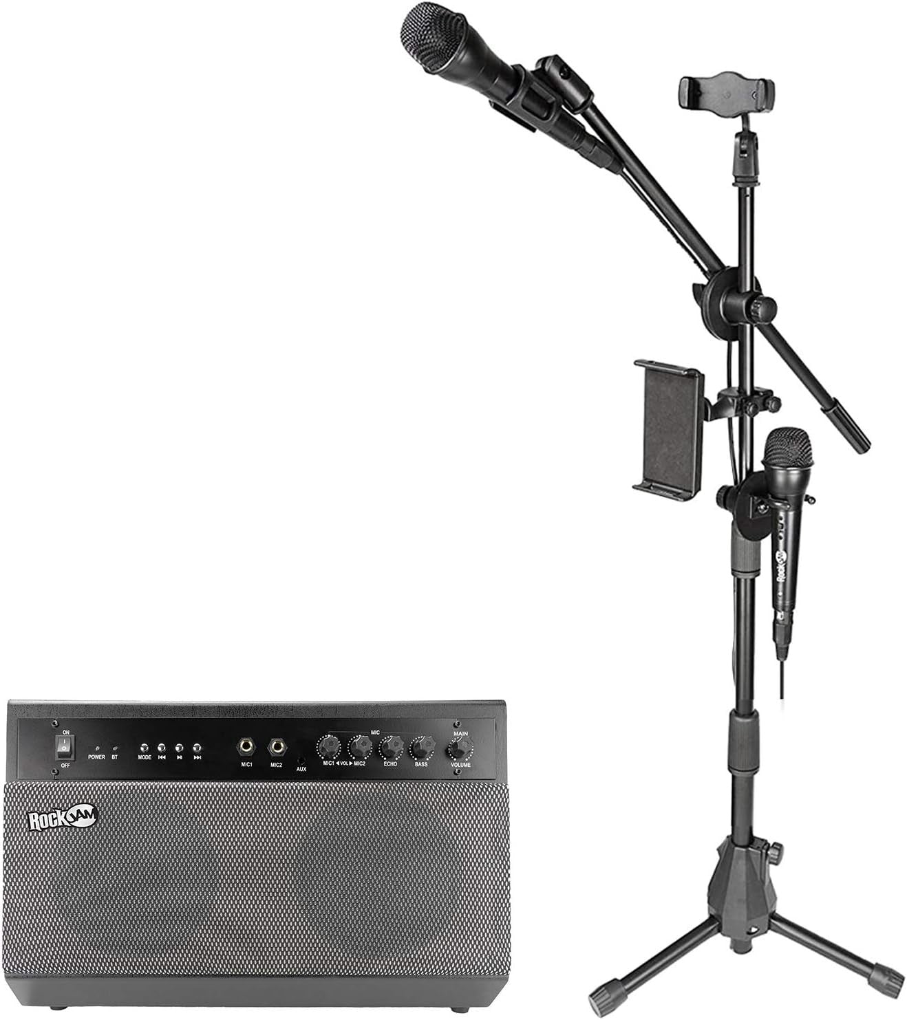 100W Bluetooth Karaoke Machine PA System with 2 Mics & Stand