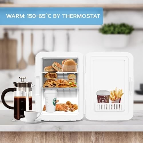 10L Mini Fridge White Portable Cooler and Warmer for Skincare Food Drinks