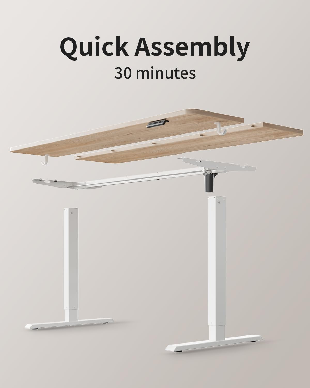 Electric Standing Desk 100x60cm Oak Top Adjustable Height Table for Office