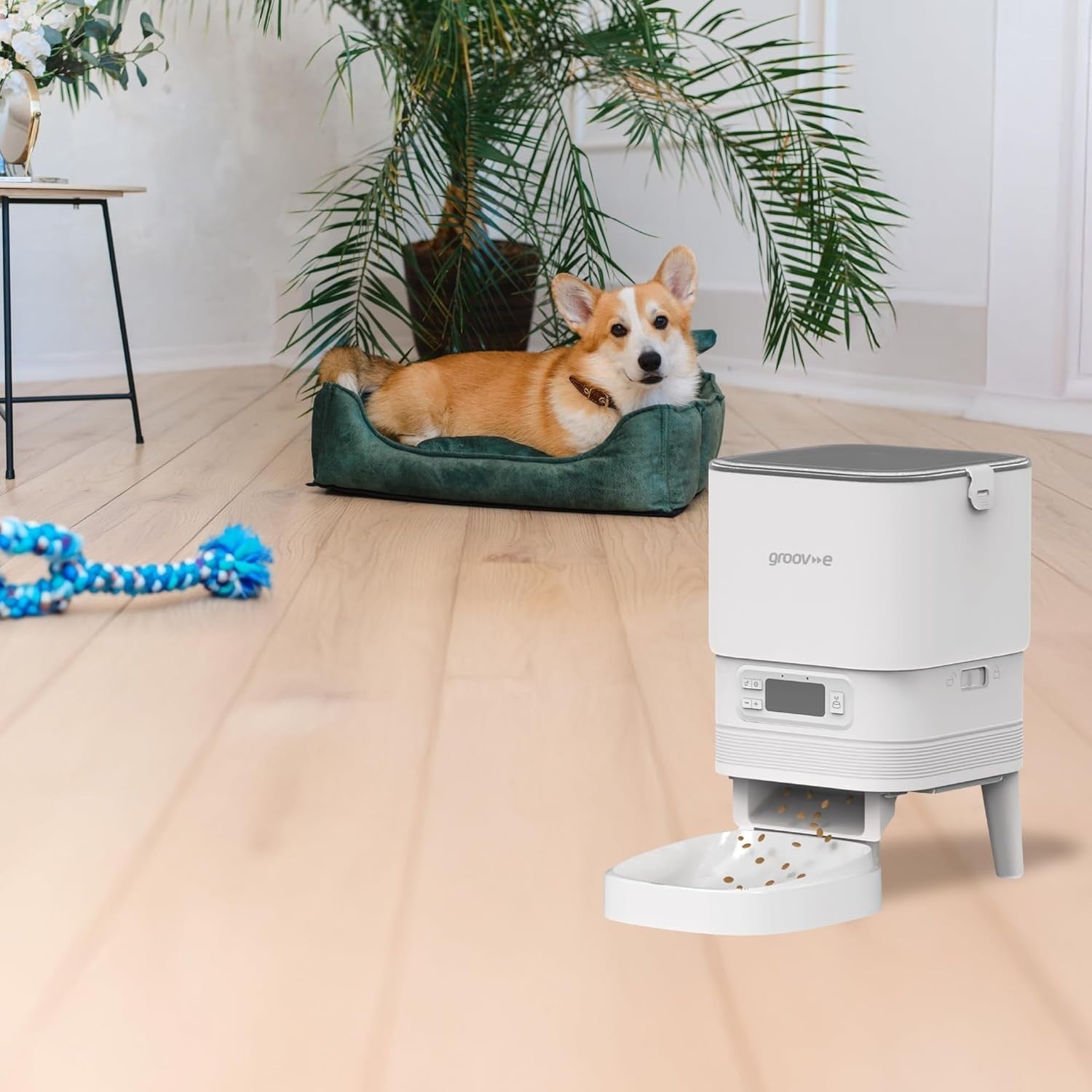 Automatic Pet Feeder 4L Dry Food Dispenser Timer 6 Meals Portion Control