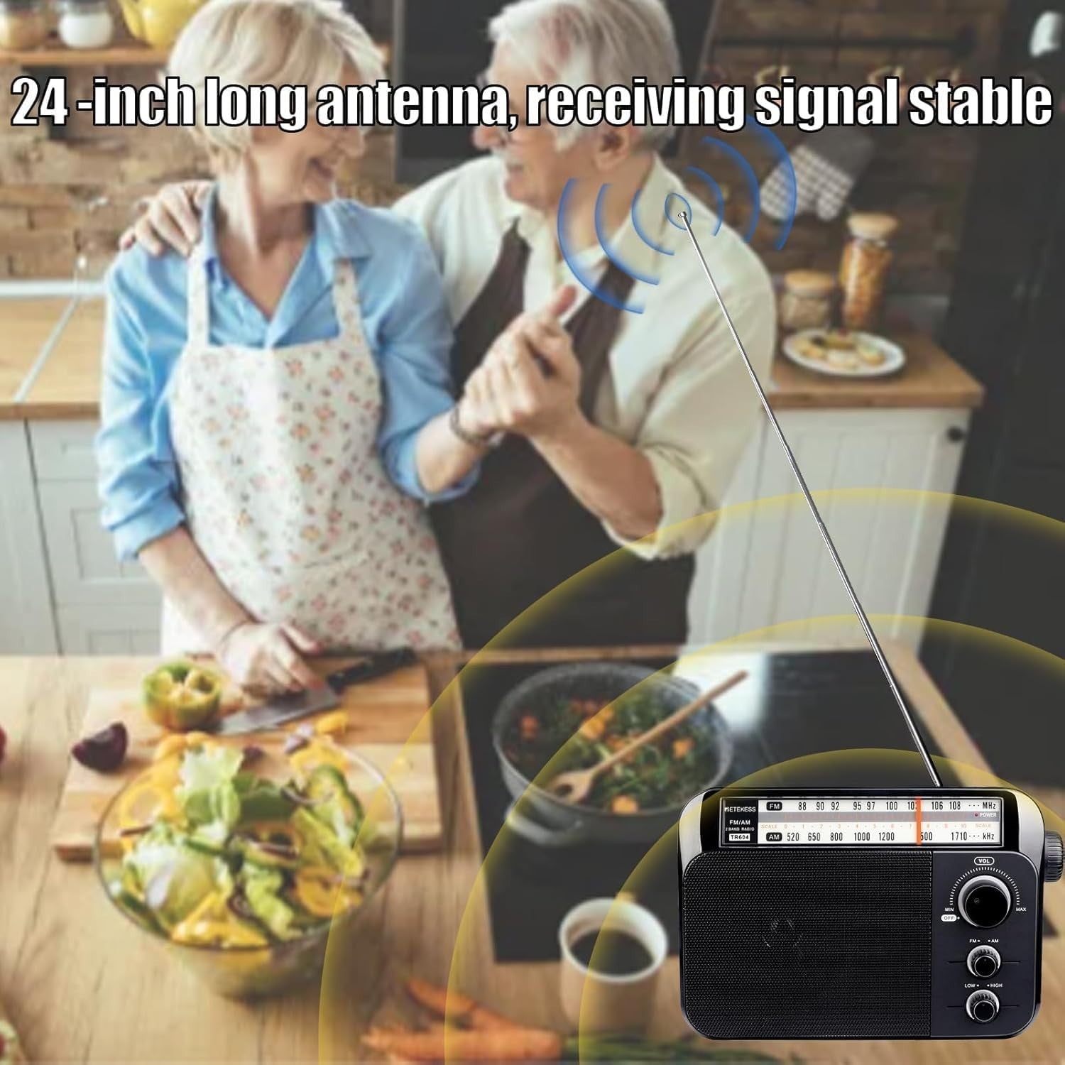 Portable AM FM Radio Battery & Mains Large Speaker