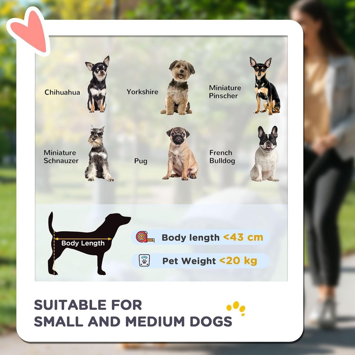 Pet Stroller for Small & Medium Dogs up to 20kg, Foldable 3 Wheel Jogger