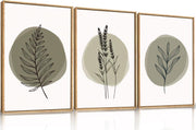 Sage Green Botanical Framed Canvas Wall Art Set 3 Modern Minimal Home Decor