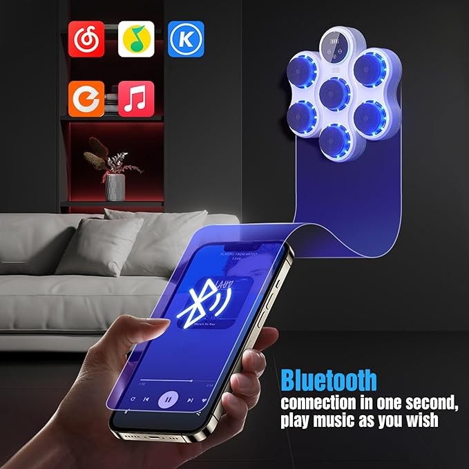 Wall Mounted Music Boxing Trainer Bluetooth LED Punch Target Home Gym