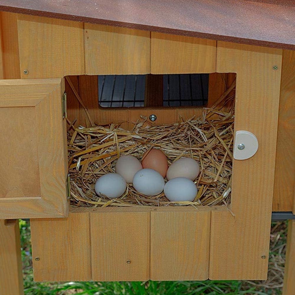 Wooden Chicken Coop Hen House 4 Hens Waterproof