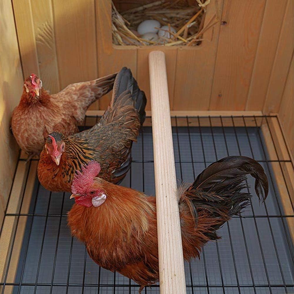 Wooden Chicken Coop Hen House 4 Hens Waterproof