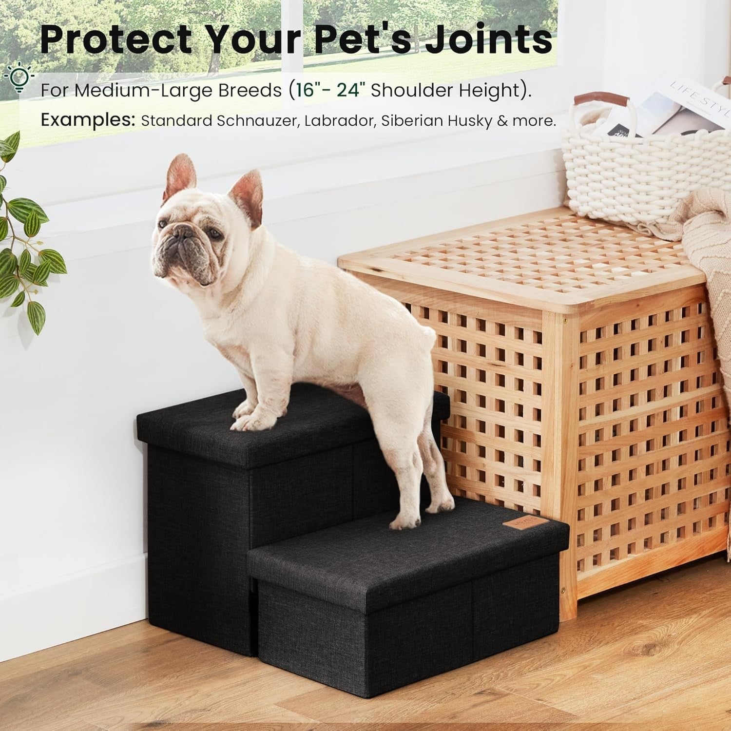 Dog Stairs with Storage 2 Step Foldable Pet Steps Ramp Black 13"
