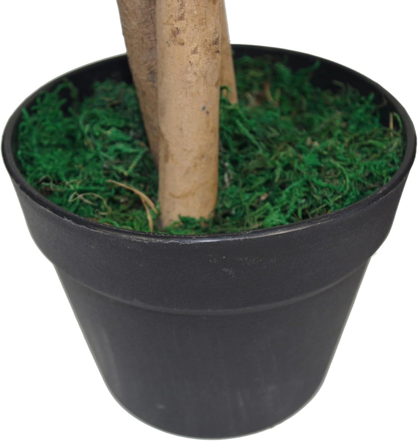 Artificial Mango Tree 80cm Lifelike Indoor Plant Decoration Green & Gold Pot