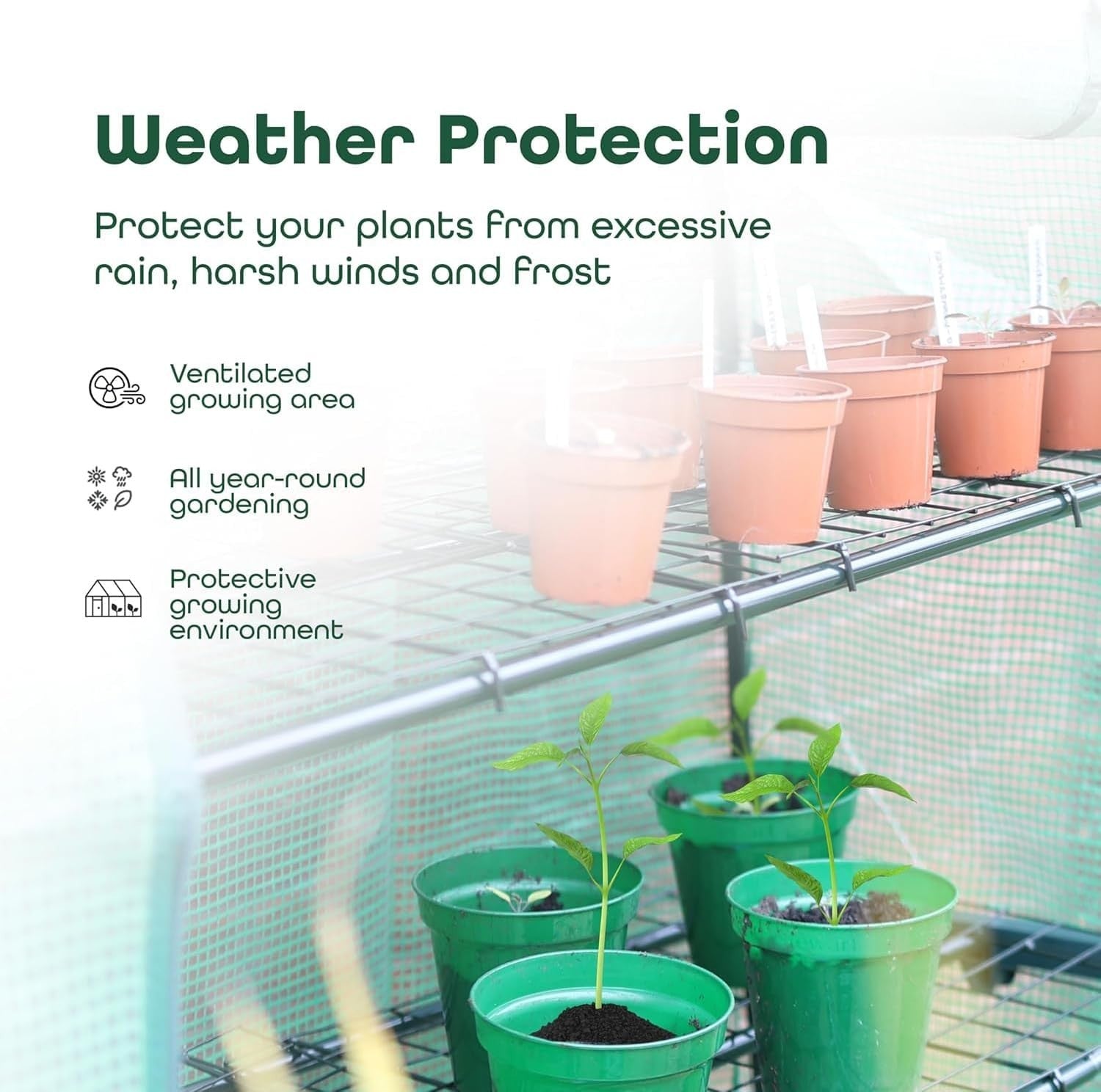 2 Tier Mini Greenhouse Shelves, PE Cover, Roll-Up Door, 55x45x85cm